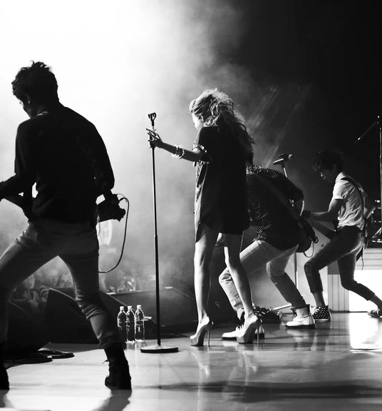 concert performance