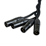 CAT Tail, etherCON to Quad 3-Pin XLRM