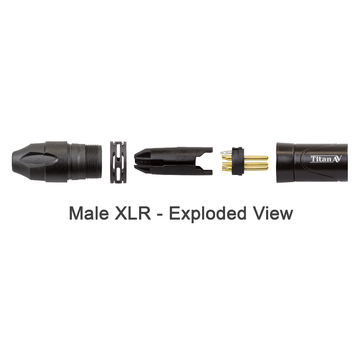 CAT Tail, etherCON to Quad 3-Pin XLRM